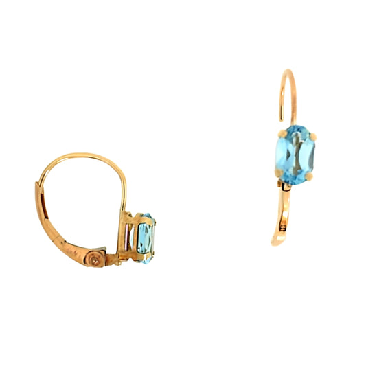 Yellow Gold Oval Blue Leverback Earrings