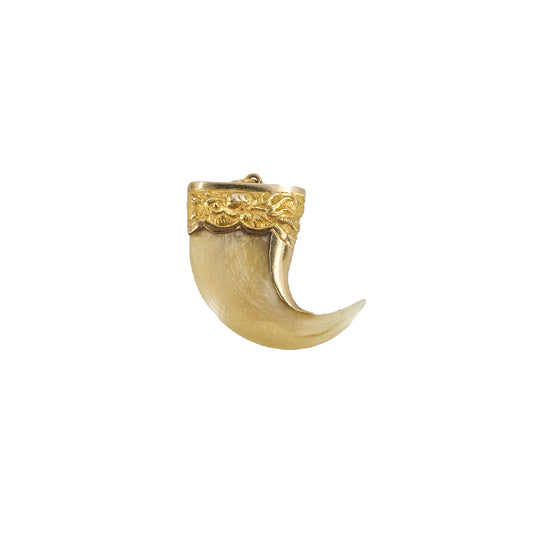 Vintage Victorian Raj Tiger Claw Pendant