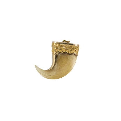 Vintage Victorian Raj Tiger Claw Pendant