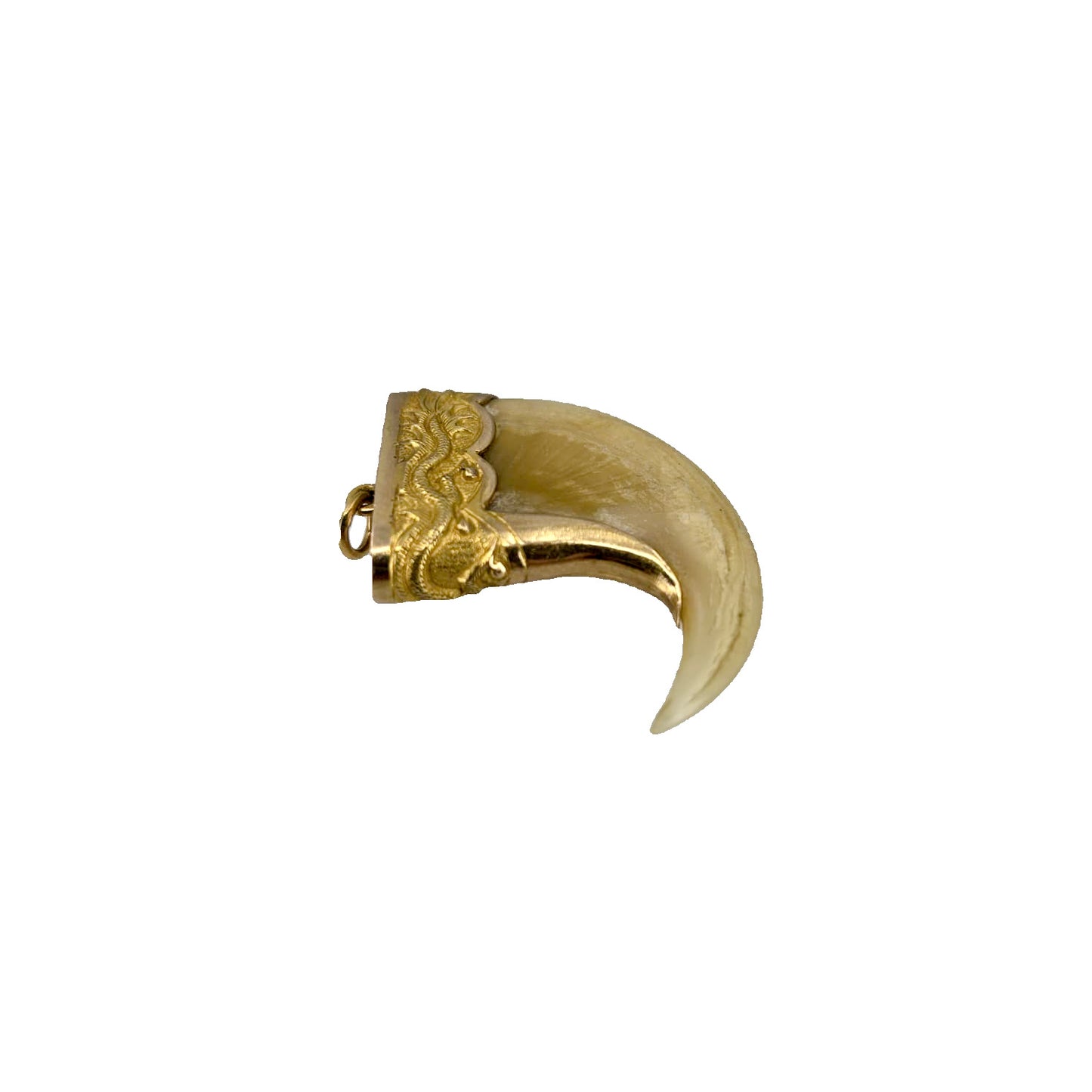 Vintage Victorian Raj Tiger Claw Pendant