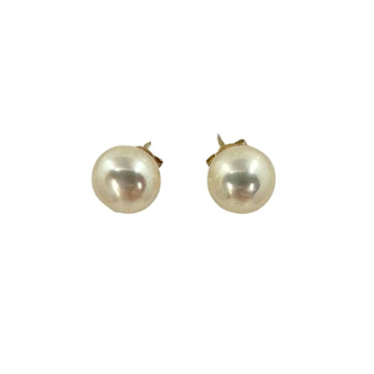 Yellow Gold Freshwater Pearl Studs