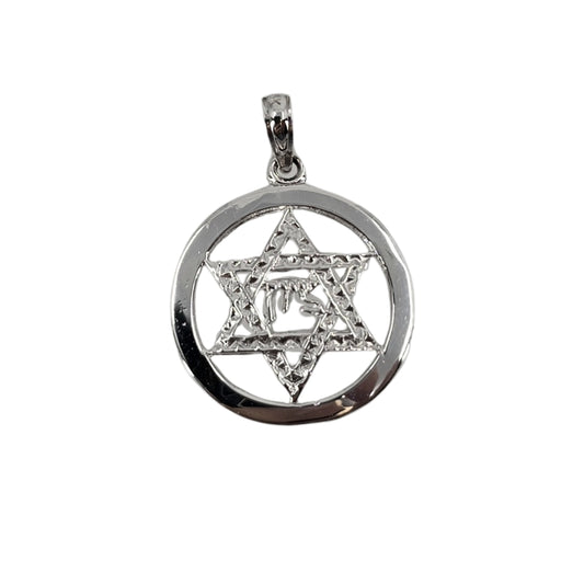 White Gold Star of David Pendant